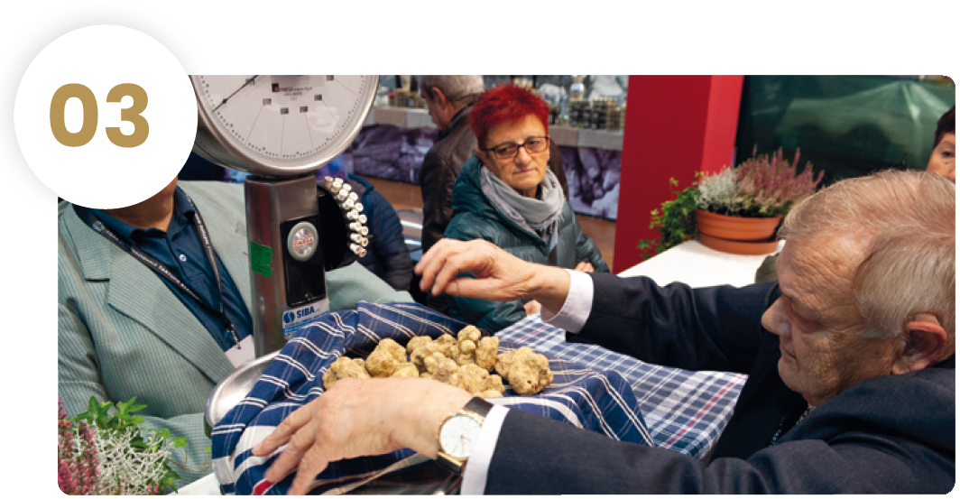 Selezione dei tartufi idonei
