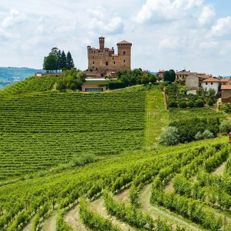 EXCLUSIVE TASTING BAROLO EN PRIMEUR