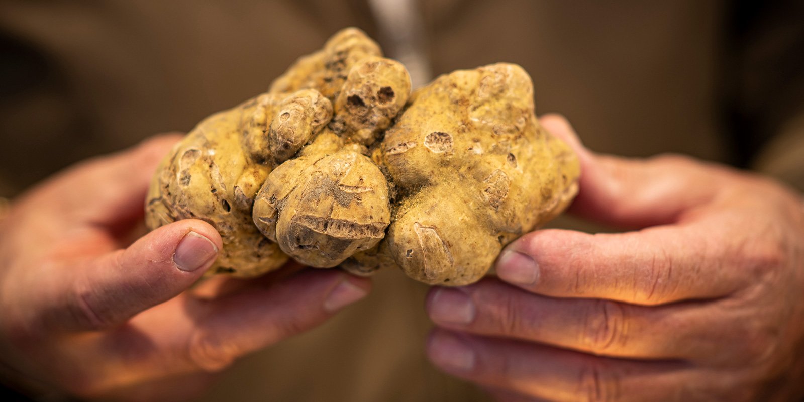 Alba White Truffle world market