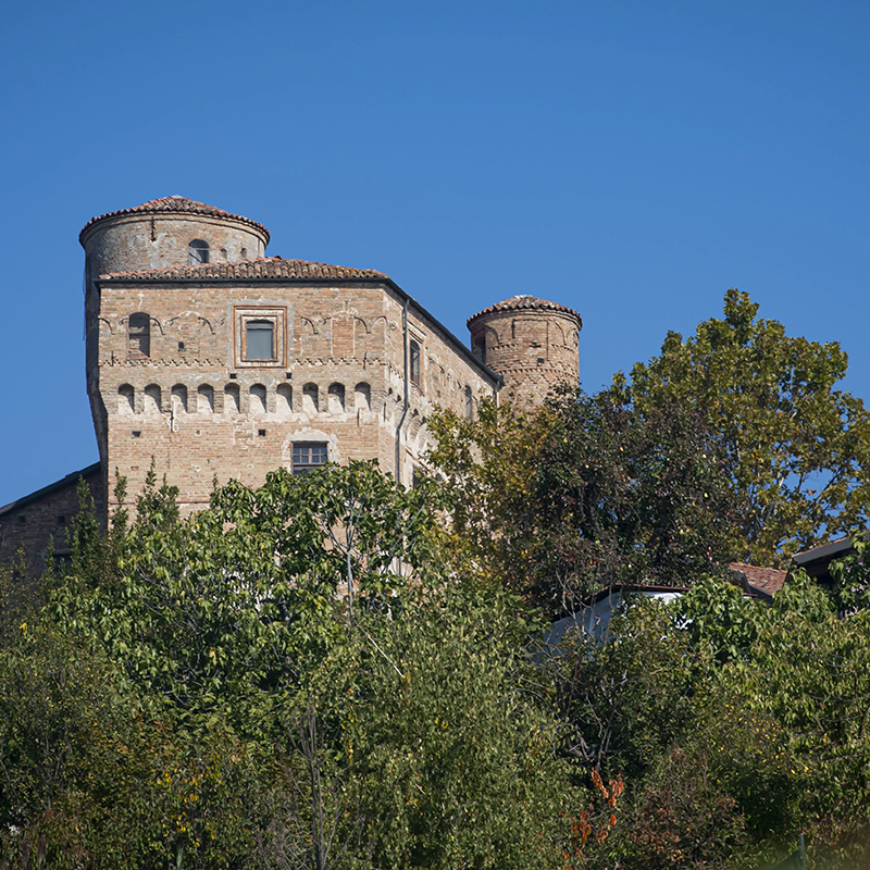 Guided tour and lunch at the castle of Roddi