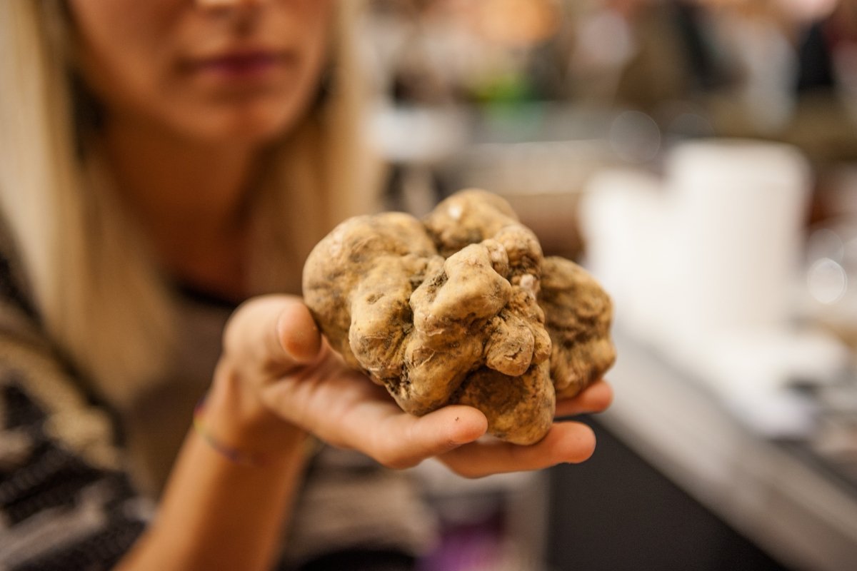 Alba White Truffle world market