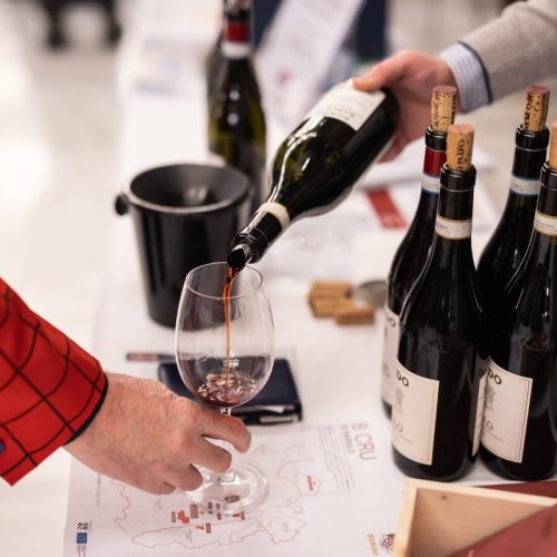 The great Terroir of Barbaresco and the other faces of Nebbiolo