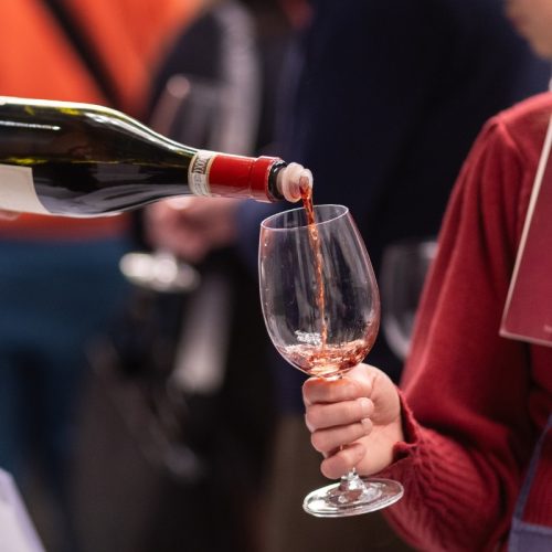 The great Terroir of Barbaresco and the other faces of Nebbiolo