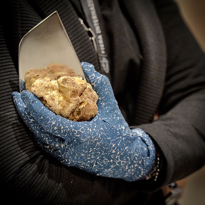 Trace / Urquiola. Il Design al servizio del Tartufo Bianco d’Alba