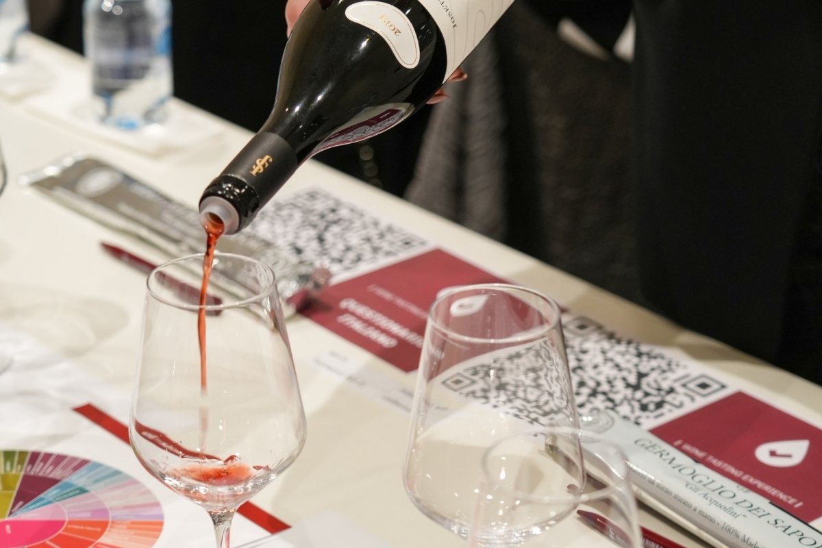 Wine Tasting Experience®